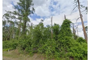 704 Wellington Avenue, Lehigh Acres, FL 33972 - MLS#226007911