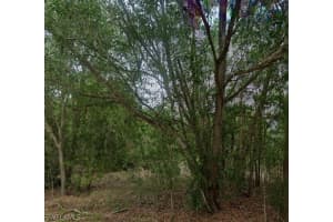 118 Johns Avenue, Lehigh Acres, FL 33936 - MLS#226007924