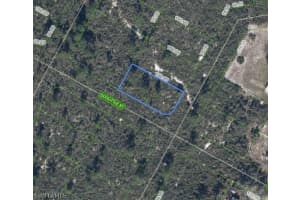 1424 Doolittle Street, Lake Placid, FL 33852 - MLS#226008419