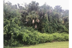 XXX 14th Avenue, Naples, FL 34120 - MLS#226008451