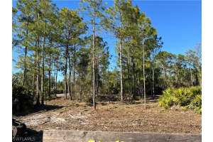 314 Spokane Avenue, Lehigh Acres, FL 33972 - MLS#226009305