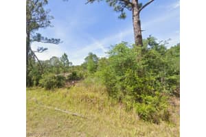 429 Nancy Road, Lake Placid, FL 33852 - MLS#226011443