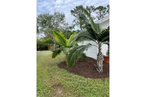 2251 QUEENS Way, Naples, FL 34112 - MLS#226012501