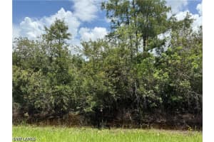  39th AVE NE, Naples, FL 34120 - MLS#226013496