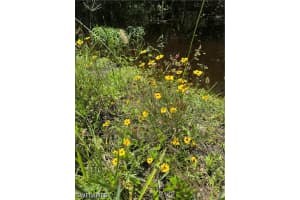  39th AVE NE, Naples, FL 34120 - MLS#226013496