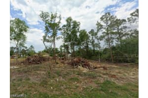 1203 Elaine Avenue, Lehigh Acres, FL 33971 - MLS#226017092