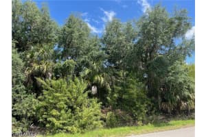 20th AVE NE, Naples, FL 34120 - MLS#226017500