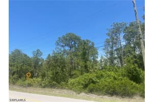 DeSoto BLVD N, Naples, FL 34120 - MLS#226018452