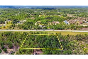 Oil Well RD, Naples, FL 33155 - MLS#226019467