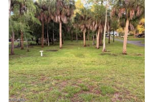 196 Wilson Boulevard, Naples, FL 34117 - MLS#226020435