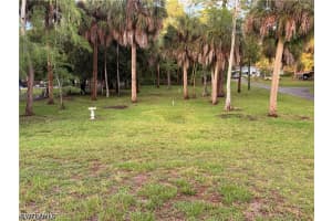 196 Wilson Boulevard, Naples, FL 34117 - MLS#226020435