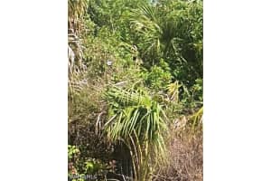 3774 2nd Avenue, Naples, FL 34120 - MLS#226021475