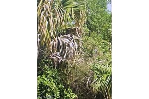 3774 2nd Avenue, Naples, FL 34120 - MLS#226021475