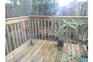 145 Riverside Dr, Cape Canaveral, FL 32920, Sold 01/04/17