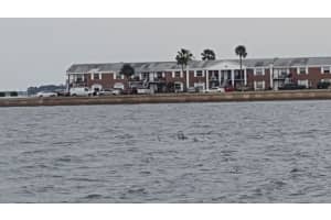 190 E Olmstead Dr, Titusville, FL 32780, Sold 04/04/16