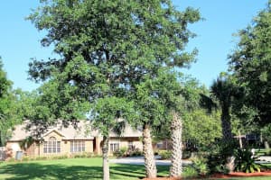 3440 Willowwood Dr, Melbourne, FL 32904, Sold 10/18/16