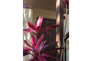 7817 Maplewood Dr, Melbourne, FL 32904, Sold 05/25/17