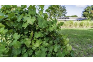 1802 Abbeyridge Dr, Merritt Island, FL 32953, Sold 08/01/17