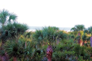 3450 Ocean Beach Blvd, Cocoa Beach, FL 32931, Sold 02/28/18