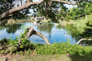 609 Manor Pl, Melbourne, FL 32904, Sold 05/11/18