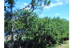 4097 Meander Pl, Rockledge, FL 32955, Sold 05/01/18