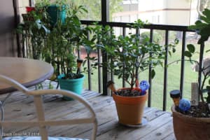 7911 Maplewood Dr, Melbourne, FL 32904, Sold 03/29/19