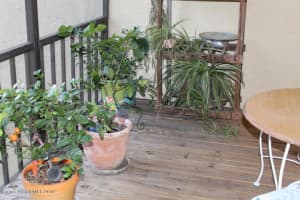 7911 Maplewood Dr, Melbourne, FL 32904, Sold 03/29/19