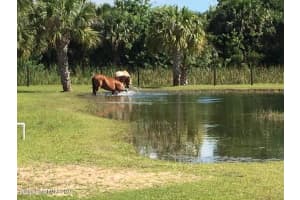 224 Deer Run Rd, Palm Bay, FL 32909, Sold 04/30/19