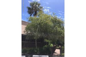 6311 Treetop Dr, Melbourne Beach, FL 32951, Sold 02/17/20