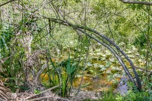 3953 Palladian Way, Melbourne, FL 32904, Sold 09/27/19