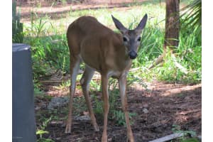 401 Plantation Dr, Titusville, FL 32780, Sold 05/24/21