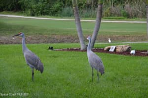 3115 Savannahs Trail, Merritt Island, FL 32953, Sold 09/13/21