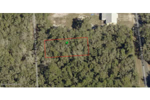 6557 N Delta Terrace, Hernando, Fl 34442, Hernando