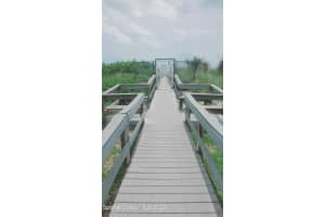 3820 Ocean Beach Boulevard, Cocoa Beach, FL 32931 Sold 09/27/23