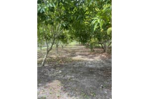 835 Newfound Harbor Drive, Merritt Island, FL 32952 Sold 01/30/25