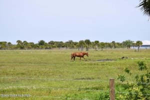 00 Unknown, Melbourne, FL 32934 Sold 07/30/25