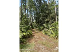 2685 Bobcat Trail, Titusville, FL 32780 Sold 10/24/23