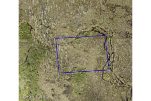 0000 Unknown Road, Mims, FL 32754 Sold 07/11/25