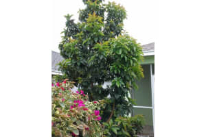 8023 SE Sugar Pines Way, Hobe Sound, FL 33455, Sold 06/09/16