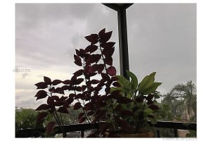 900 NE 195th St, Miami, FL 33179, Sold 05/22/17