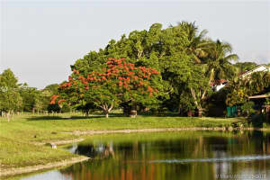 425 W Park Dr, Miami, FL 33172, Sold 06/19/17