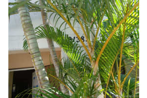 21383 NE 8th Ct, Miami, FL 33179, Sold 08/10/17