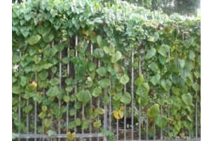 850 NE 212th Terrace, Miami, FL 33179, Sold 07/27/17