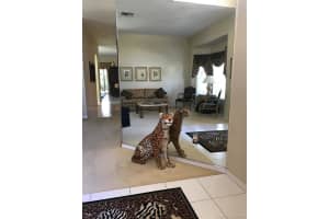 15886 SW 15th St, Pembroke Pines, FL 33027, Sold 10/10/17