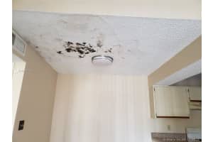 15560 SW 104th Terrace, Miami, FL 33196, Sold 05/31/19