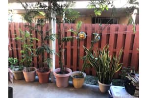 7951 W 29th Ln, Hialeah, FL 33018, Sold 01/24/19