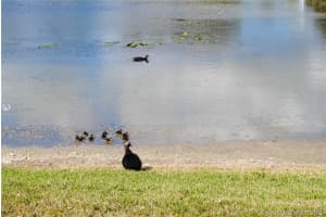 13230 SW 17th Ln, Miami, FL 33175, Sold 02/06/19