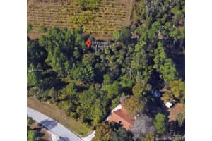 12181 Green Gulf Blvd, Punta Gorda, FL 33955, - MLS#A10756668