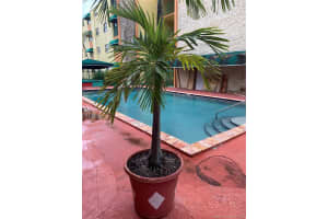 606 W 81st St, Hialeah, FL 33014, Sold 12/25/19