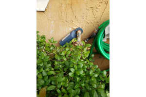 15 SW 15th Terrace, Homestead, FL 33030, Sold 03/18/20